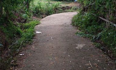 Dijual Cepat Tanah Cocok untuk Lokasi Villa Dan Wisata