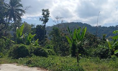 Dijual tanah murah,lokasi di Jatimulyo,girimulyo