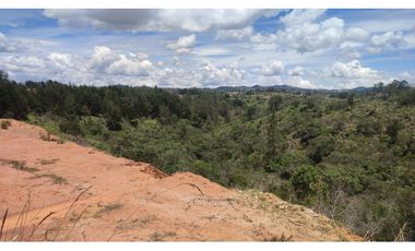 lote comercial en venta Guarne Antioquia sector Chaparral