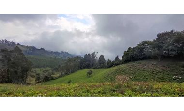 Finca en venta en zipacon