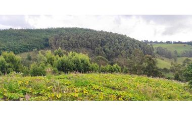 Finca en venta en zipacon