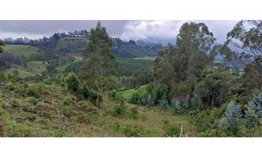 Finca en venta en zipacon