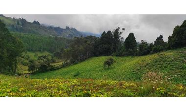 Finca en venta en zipacon