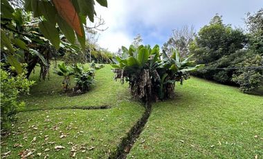 Casa para Renta en Llanogrande Pontezuela