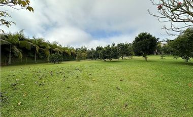 Casa para Renta en Llanogrande Pontezuela