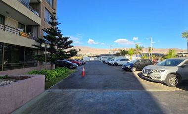 Terramar Ii 3d2b1e1bo Depto Cálido Vista Al Mar