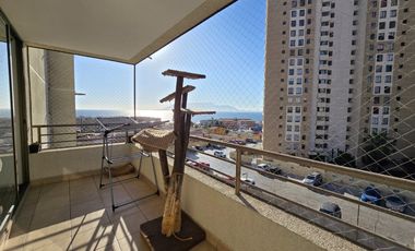 Terramar Ii 3d2b1e1bo Depto Cálido Vista Al Mar