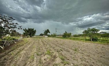 TERRENO EN VENTA ALPUYECA