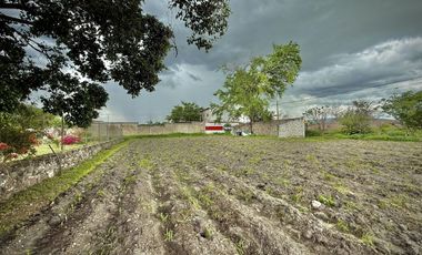 TERRENO EN VENTA ALPUYECA