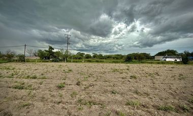 TERRENO EN VENTA ALPUYECA