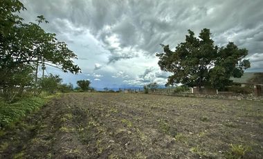 TERRENO EN VENTA ALPUYECA