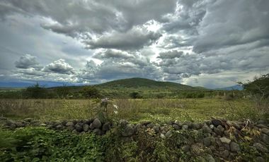 TERRENO EN VENTA ALPUYECA