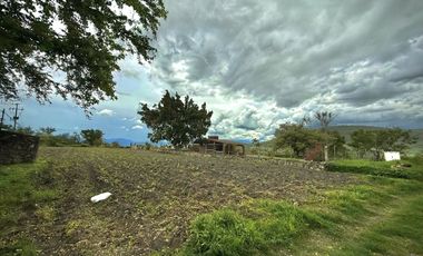 TERRENO EN VENTA ALPUYECA
