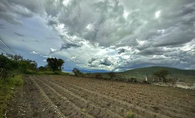 TERRENO EN VENTA ALPUYECA