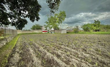 TERRENO EN VENTA ALPUYECA