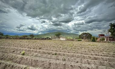 TERRENO EN VENTA ALPUYECA