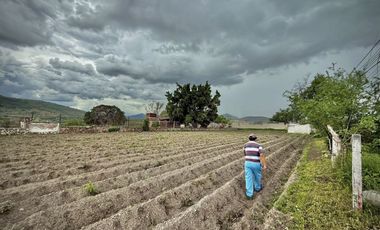 TERRENO EN VENTA ALPUYECA