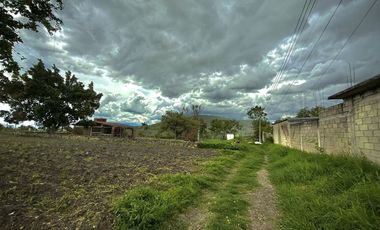 TERRENO EN VENTA ALPUYECA