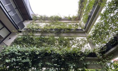 POLANCO RENTA DEPARTAMENTO A ESTRENAR CON TERRAZA A PASOS DE PRESIDENTE MASARYK