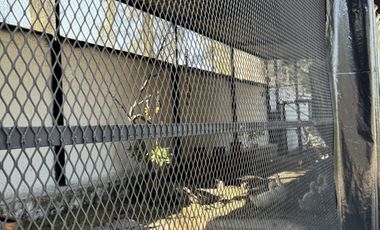 HERMOSA QUINTA EN TESISTAN OPORTUNIDAD UNICA