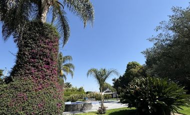 HERMOSA QUINTA EN TESISTAN OPORTUNIDAD UNICA