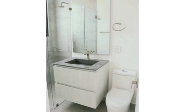 Virrey en Arriendo