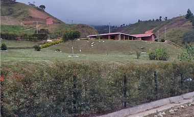 Finca para la Venta Vereda la estrella Gómez Plata