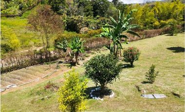Finca para la Venta Gómez Plata Vereda la estrella