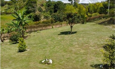 Finca para la Venta Gómez Plata Vereda la estrella