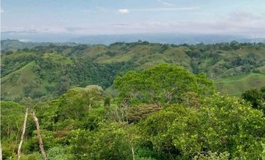 VENDO.FINCA DE 10HECTAREAS CON.CASA VIA CAIZAN