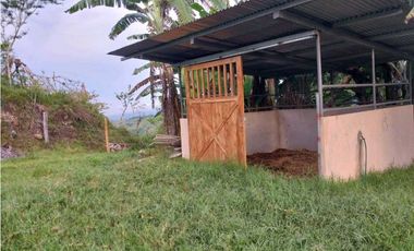 VENDO.FINCA DE 10HECTAREAS CON.CASA VIA CAIZAN