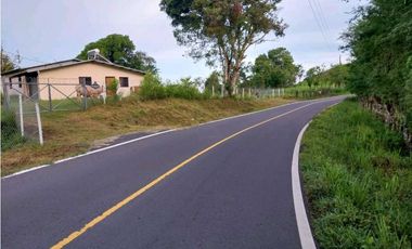 VENDO.FINCA DE 10HECTAREAS CON.CASA VIA CAIZAN