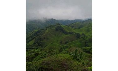 VENDO.FINCA DE 10HECTAREAS CON.CASA VIA CAIZAN