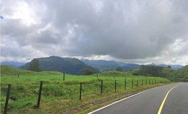 VENDO.FINCA DE 10HECTAREAS CON.CASA VIA CAIZAN