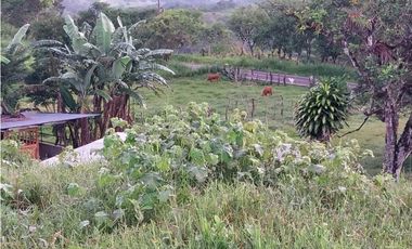 VENDO.FINCA DE 10HECTAREAS CON.CASA VIA CAIZAN