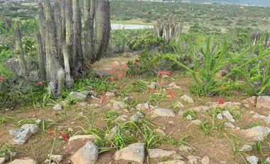 Parcela en venta  en COQUIMBO