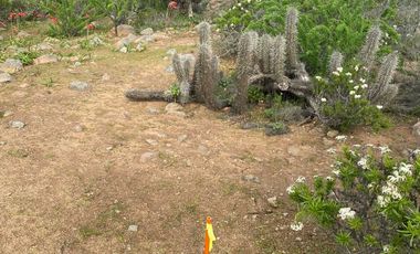 Parcela en venta  en COQUIMBO