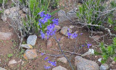 Parcela en venta  en COQUIMBO