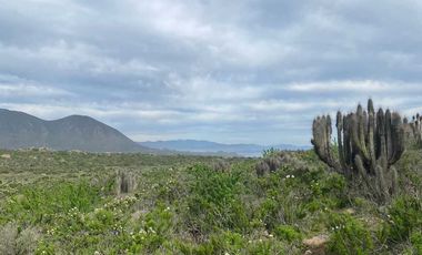 Parcela en venta  en COQUIMBO