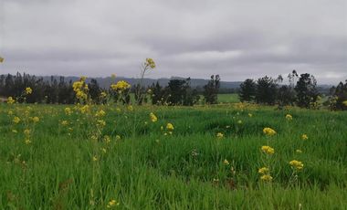 Parcela en Venta en Hacienda Bucalemu