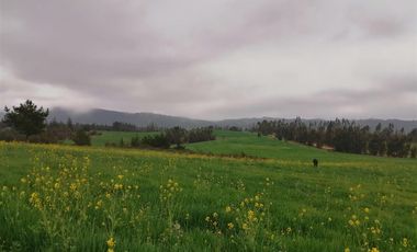 Parcela en Venta en Hacienda Bucalemu