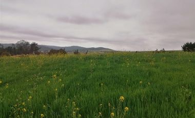 Parcela en Venta en Hacienda Bucalemu
