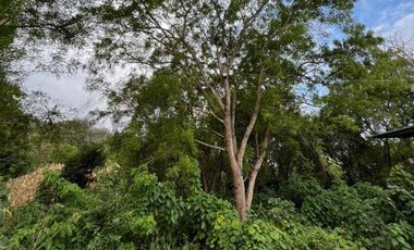 VENTA DE FINCA PRODUCTIVA EN JIPIJAPA