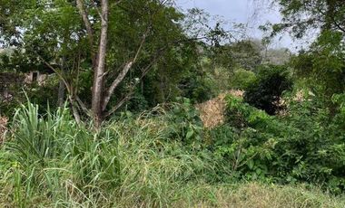VENTA DE FINCA PRODUCTIVA EN JIPIJAPA