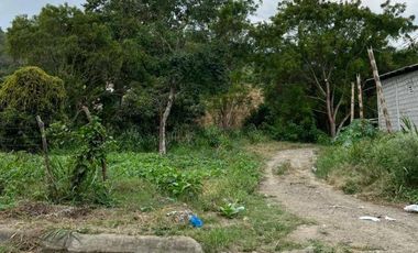 VENTA DE FINCA PRODUCTIVA EN JIPIJAPA