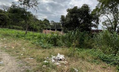 VENTA DE FINCA PRODUCTIVA EN JIPIJAPA