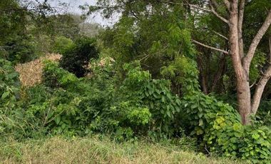 VENTA DE FINCA PRODUCTIVA EN JIPIJAPA
