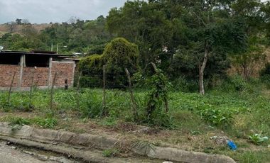 VENTA DE FINCA PRODUCTIVA EN JIPIJAPA