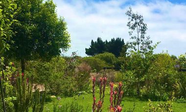 Pichilemu, Casa Jardín en el Pangal