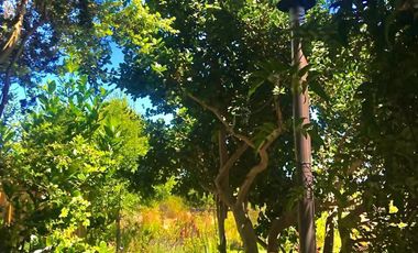 Pichilemu, Casa Jardín en el Pangal